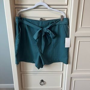 A New Day teal high waisted shorts, NWT, size XXL